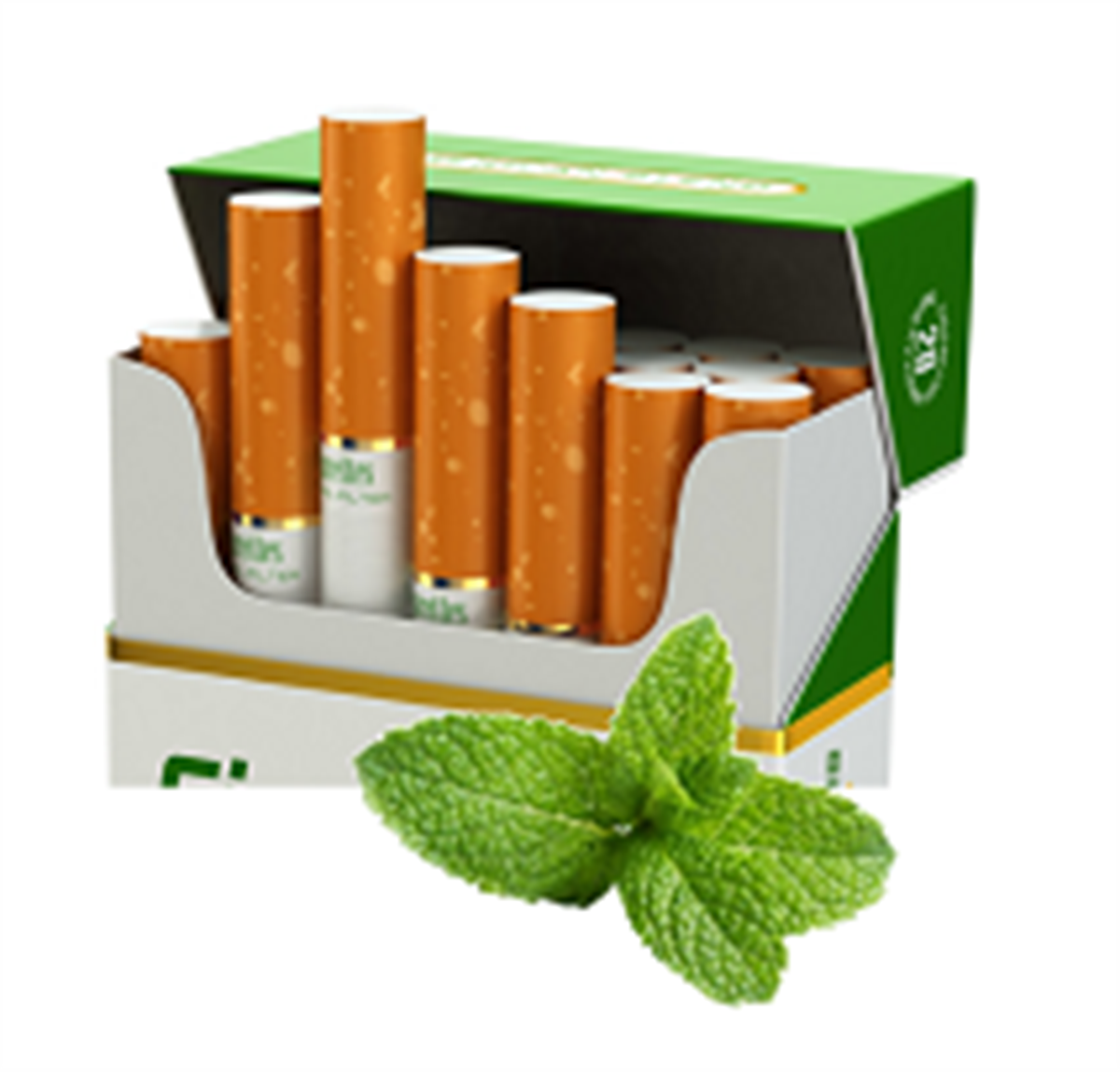 Flavored/Menthol Tobacco Products Ban