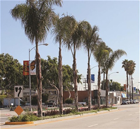 West Washington Area Improvement program streetscape medians.