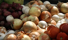 Onions at the Culver City Farmer's Market