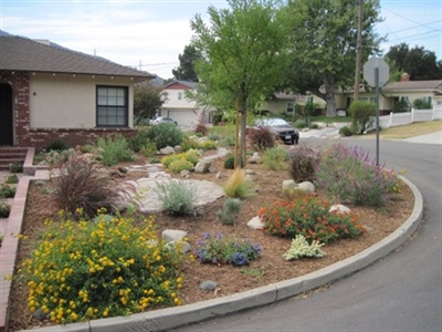 Photograph of residential home with front lawn planted for drought conditions