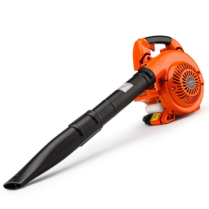 Photograph of leaf blower