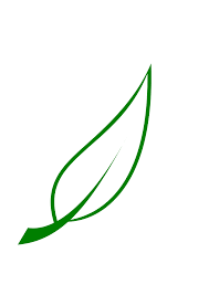2020-10-PW-GreenLeafOutline1.png