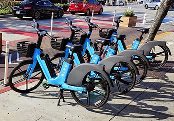 Four blue Bird Bikes parked and ready for riding