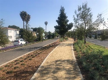 Photograph of last stage of Culver Blvd Realignment and Stormwater Project