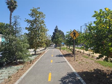 Photograph of new bicycle path along Culver Blvd 2022-06-30