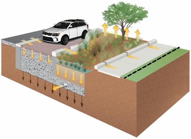 Image: Conceptual schematic drawing of a Green Street type project featuring a car parked on city street with permeable pavement capturing water and a planted parkway capturing street and sidewalk runoff, with arrows showing water pathways underground - up to landscaped plants and down to water table 