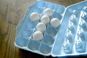Polystyrene Egg Carton.jpg