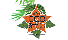 Star Eco Station logo