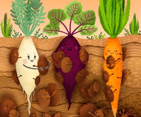 Cartoon veggies in composting material