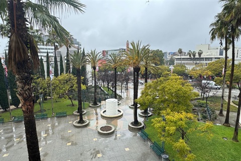 Photo of City Hall courtyard during rainy weather