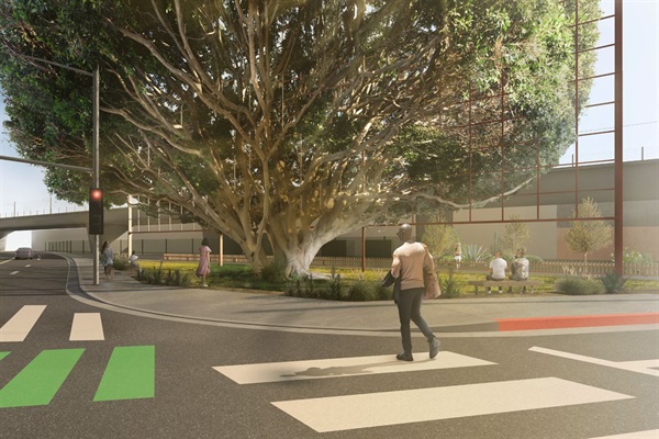 Street view rendering of A Frame for a Tree
