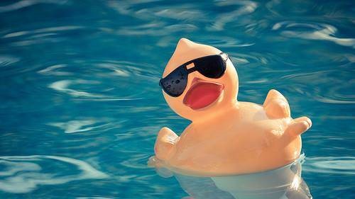Rubber Ducky with Sunglasses.jpg