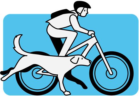 Icon of person riding a bike with a dog