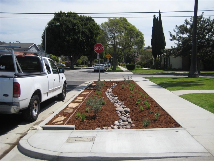 Baldwin Hills Rain Garden