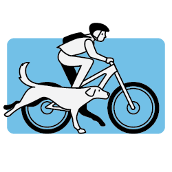 Person riding a bike with a dog